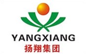 春江揚(yáng)翔
